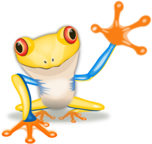 Itinerary Frog