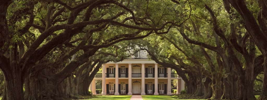 Oak Valley Plantation