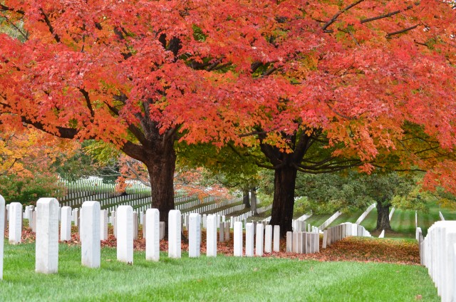 Arlington Cemetery Washington DC