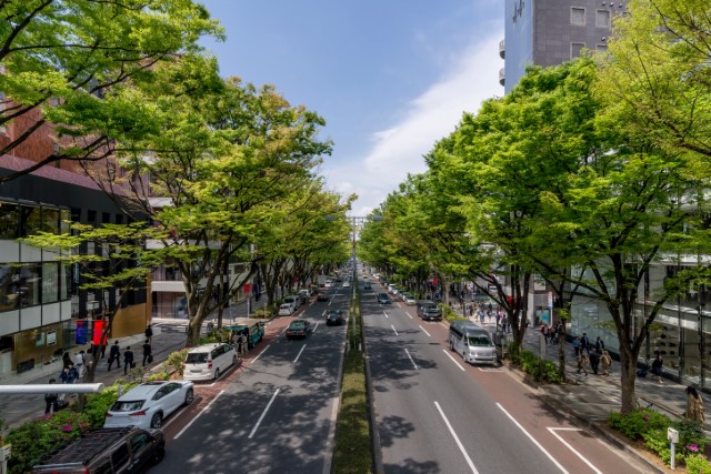 Omotesando Street in Tokyo