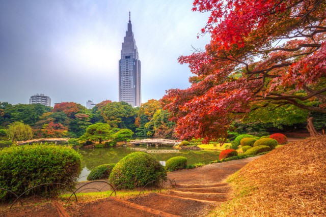 The Shinjuku Goyen National Garden in Tokyo