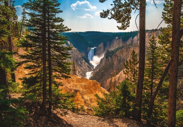A View of the Waterfall in Yellowstone Canyon
