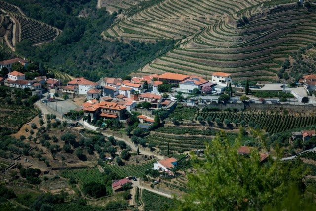 Portugal Itinerary Douro Valley 
Vineyard Tour 